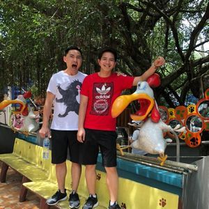 Meet your Posher, Hoàng